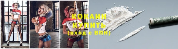 ALPHA PVP Гусев