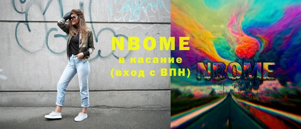 мдпв Гусь-Хрустальный