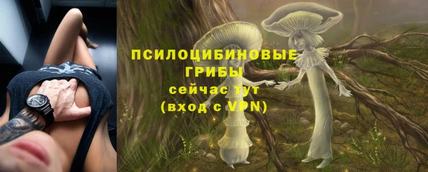 ALPHA PVP Гусев