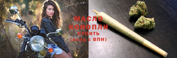 мдпв Гусь-Хрустальный