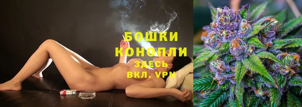 ALPHA PVP Гусев