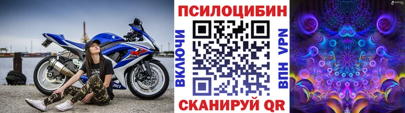 Купить закладки  Крымск  Псилоцибиновые грибы мухоморы 